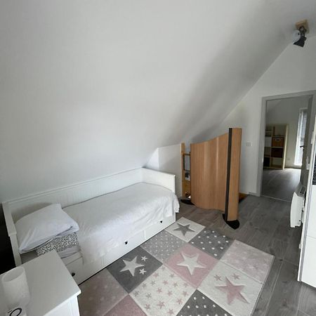 Chalampe Modern House Close To Basel, Freiburg, Mulhouse, Europa-Parkヴィラ エクステリア 写真