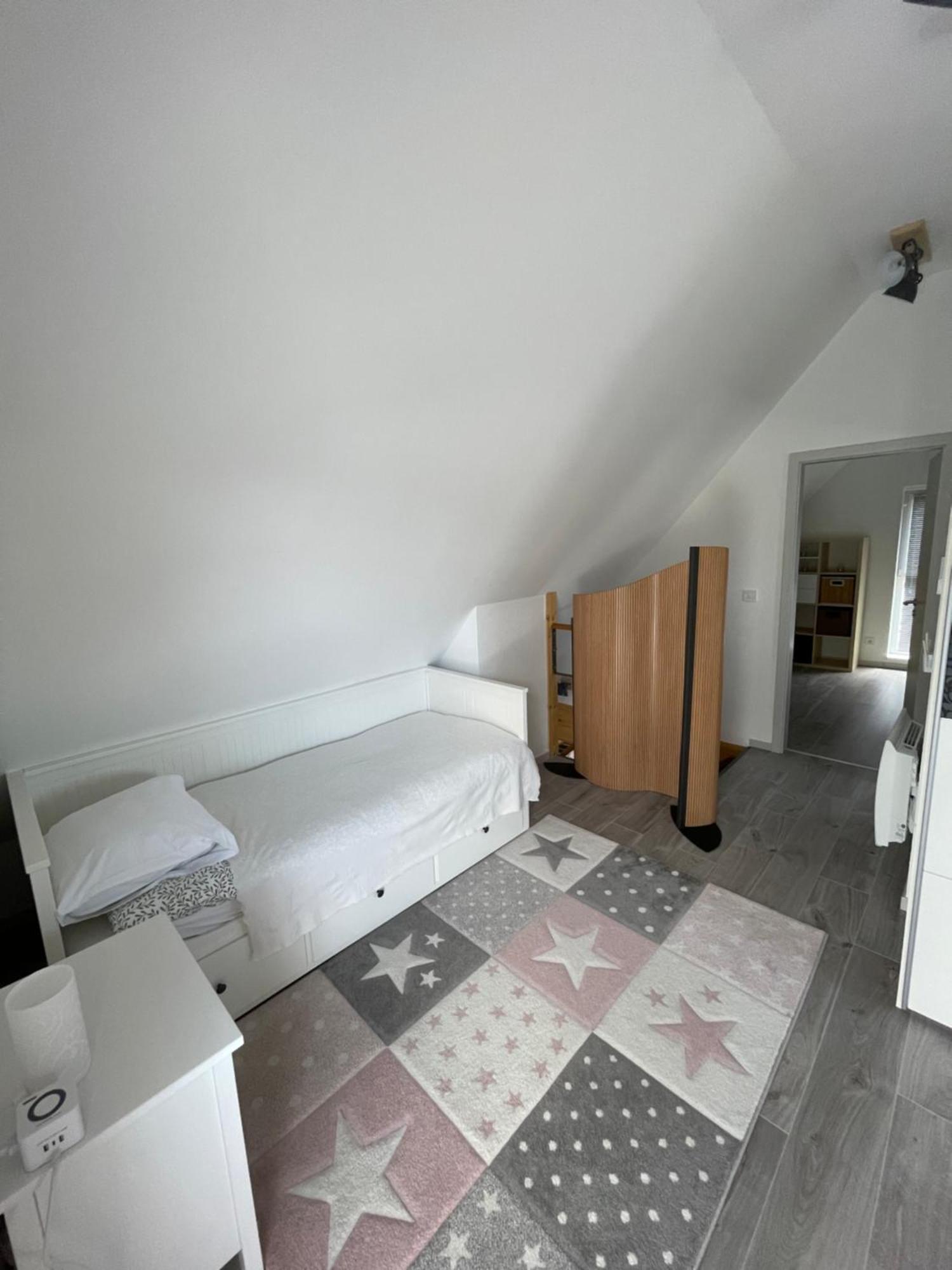 Chalampe Modern House Close To Basel, Freiburg, Mulhouse, Europa-Parkヴィラ エクステリア 写真